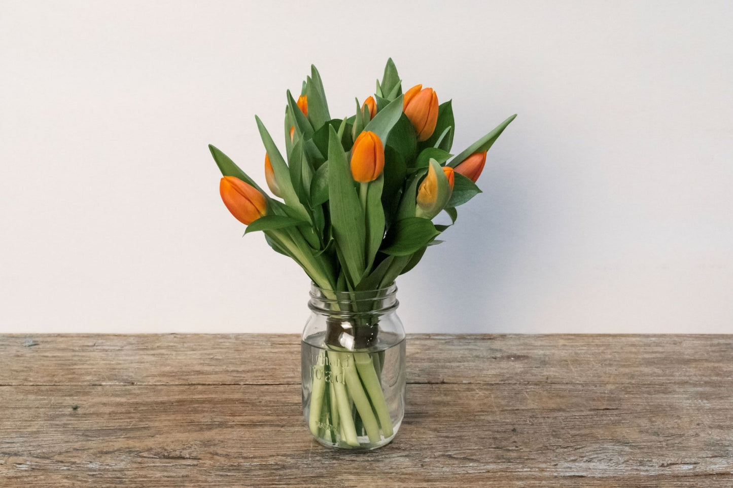 Spring Posy in a Vase - Scent Floral Boutique NZ